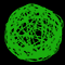 Световой подвес на деревья «Плетеный шар» (d30см, 144LED, 3D, IP65) зеленый